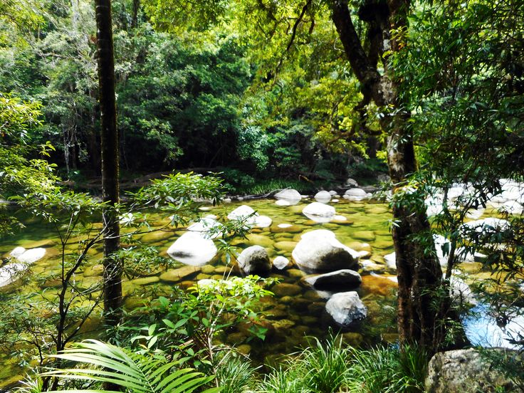 Can You Swim at Mossman Gorge Tour? Explore & Enjoy